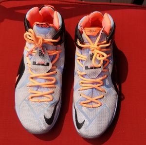 Nike 2015 Lebron James Easter Edition